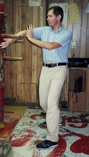 Ken Werner Wooden Dummy