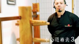 Sifu Monnerat Wing Chun Kung Fu