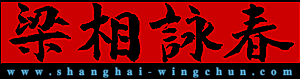 www.shanghai-wingchun.com