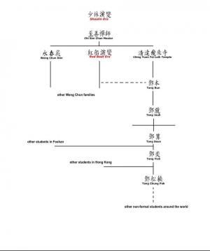 Tang family Weng Chun tree