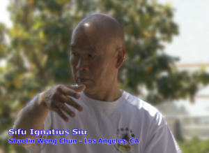 Siu Cheuk Chow, Sifu Ignatius Siu