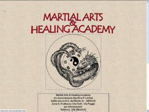 Martial Arts Healing Academy