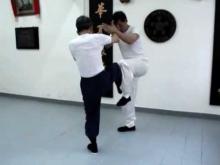 Embedded thumbnail for Wing Chun Footwork 