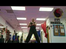 Embedded thumbnail for Wing chun Close Range Combat